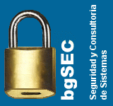 bgSEC Logo